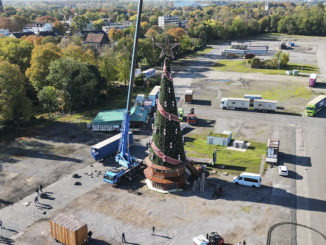 Seit dem 23. Oktober steht der 45 Meter hohe Weihnachtsbaum auf dem Cranger Kirmesplatz. // Foto: Alex Talash